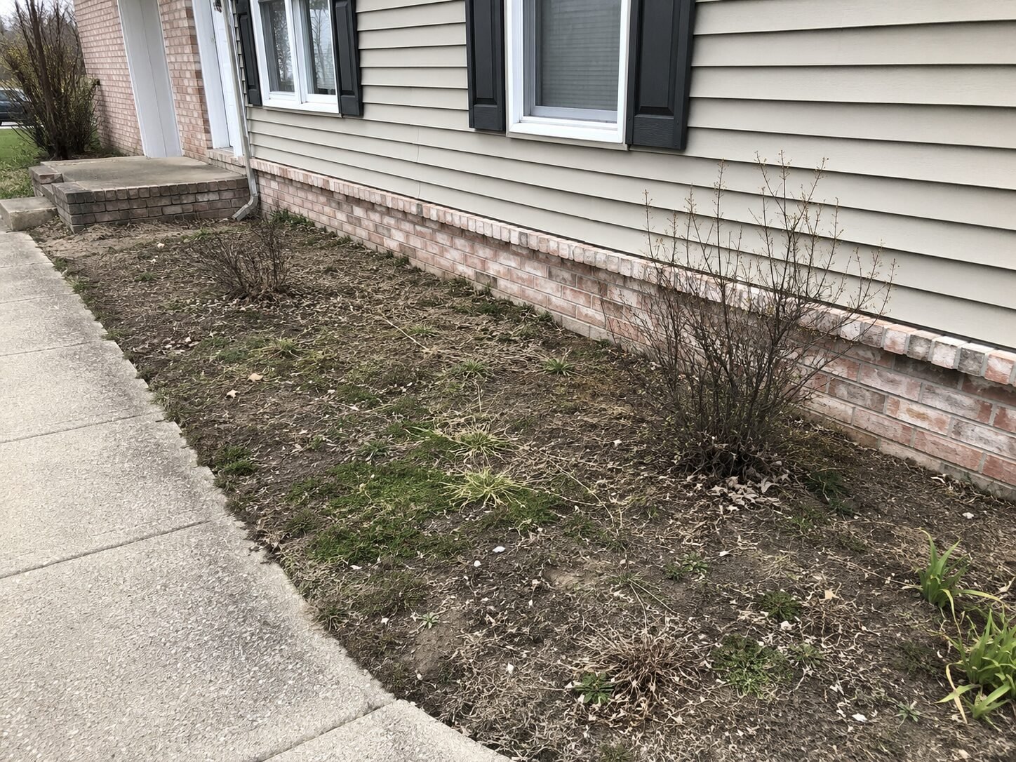 Before — bare foundation bed, sparse plantings