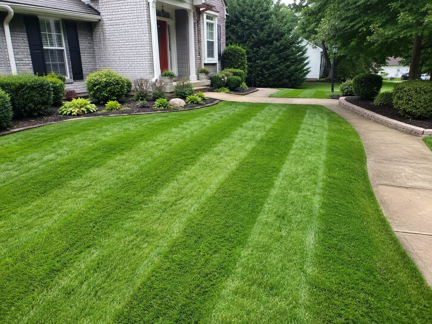 Freshly mowed lawn & tidy front entrance