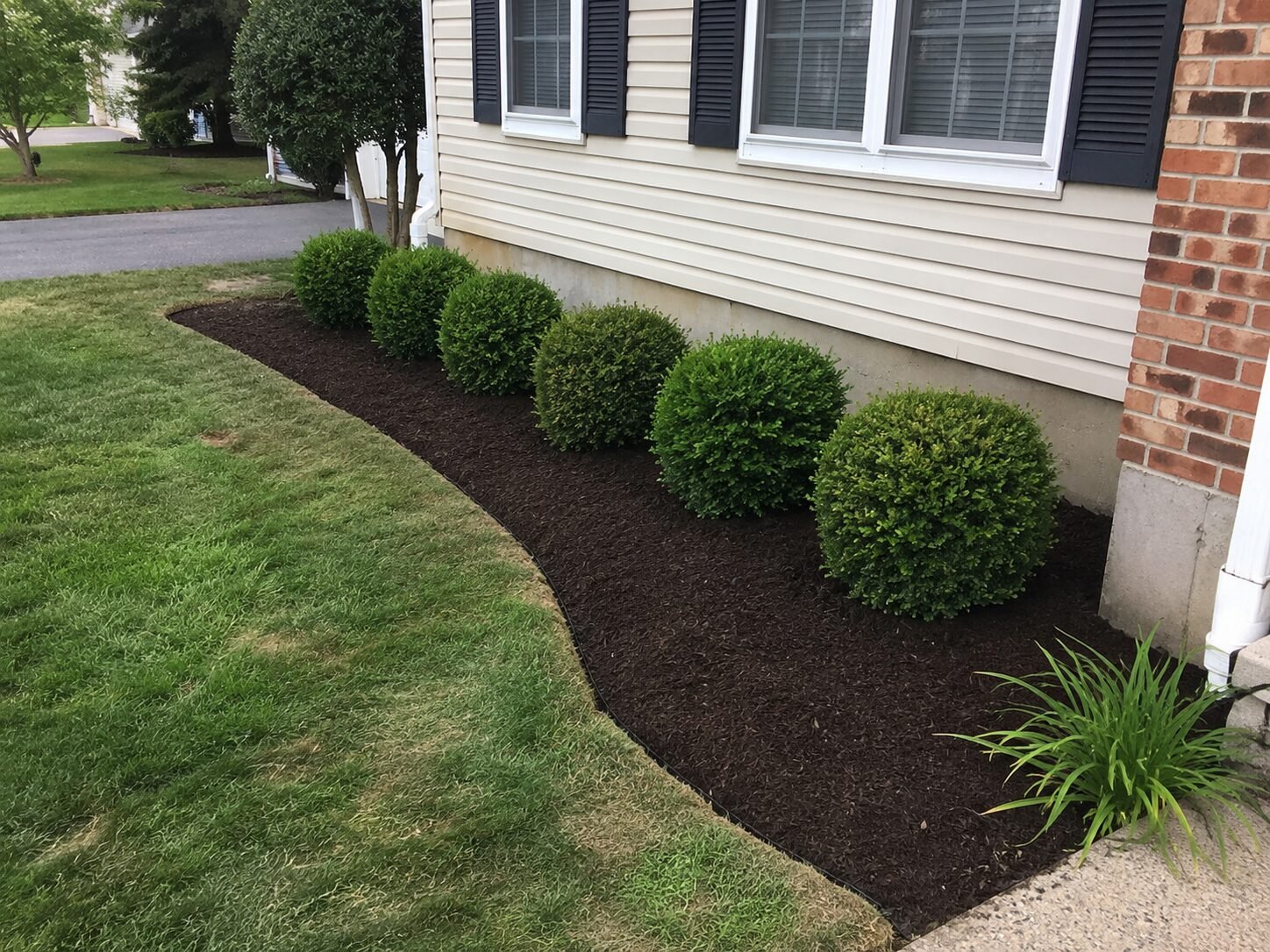 Fresh mulch install with boxwood border