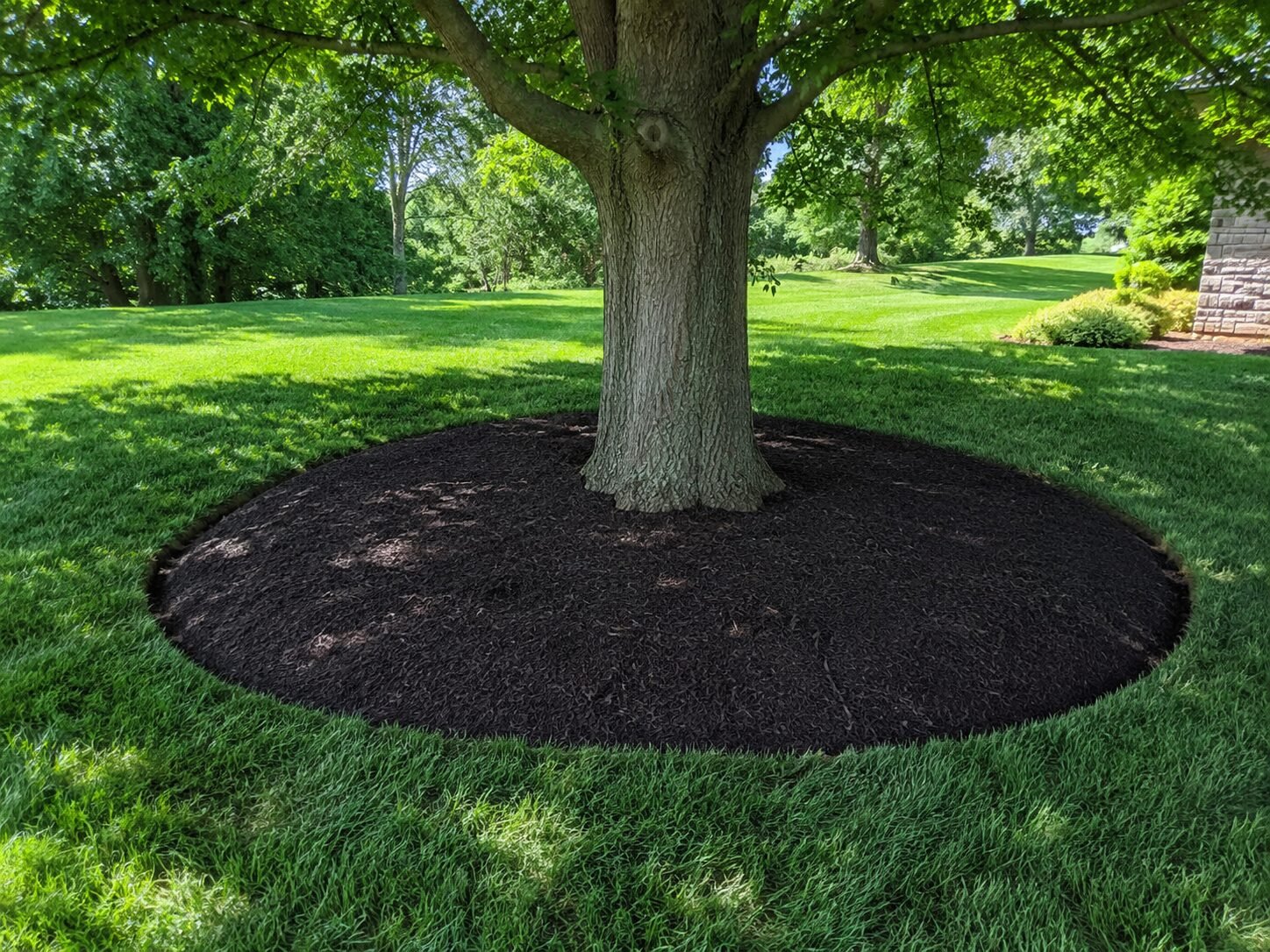 Clean, edged tree ring mulch bed